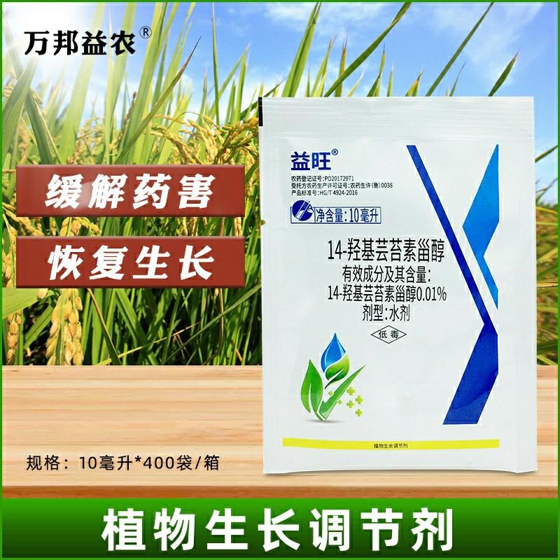 14-Hidroxicampesterol: Regulador De Crescimento De Plantas De Arroz, Agente De Enraizamento E Fortalecimento De Mudas, Guia Completo De Pesticidas Yuntai.  |   Regulador De Crescimento De Plantas Regulador De Crescimento De Plantas Regulador De Crescimento De Plantas