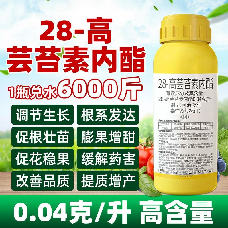 28 Gibberelina De Ácido Giberélico, Regulador De Crescimento De Plantas, Enraizamento, Fortalecimento De Mudas, Flor E Fruto, Ácido Giberélico, Fertilizante Foliar, Pesticida.  |   Regulador De Crescimento De Plantas Regulador De Crescimento De Plantas Regulador De Crescimento De Plantas