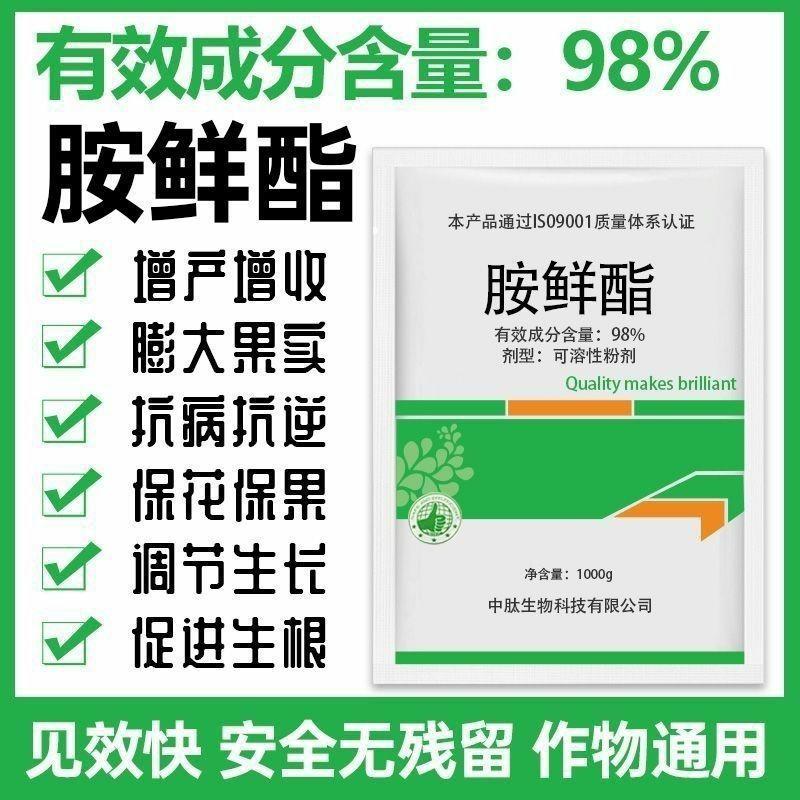 Amido Fresco 98% – Fertilizante Foliar Para Proteção De Flores E Frutos, Aumento De Tamanho, Resistência Ao Frio E À Seca, Regulador De Crescimento Vegetal.  |   Regulador De Crescimento De Plantas Regulador De Crescimento De Plantas Regulador De Crescimento De Plantas