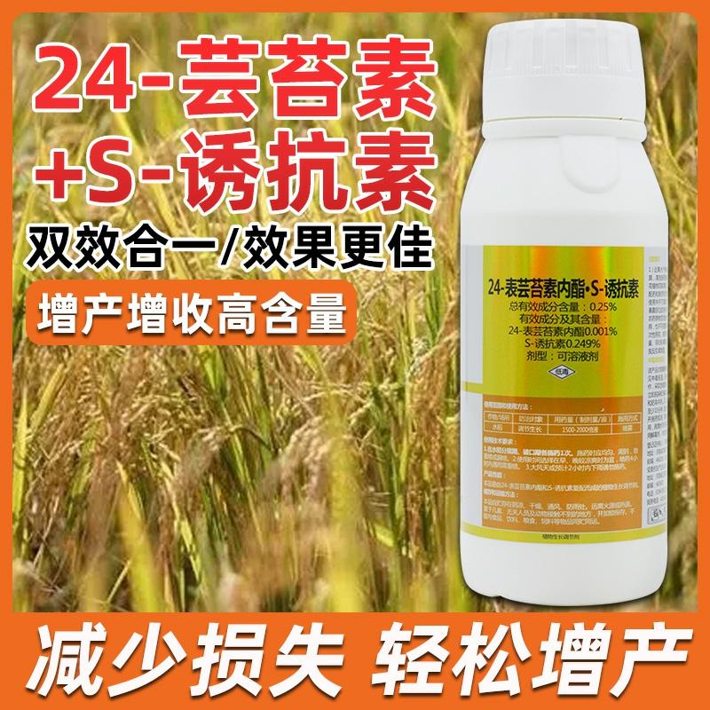 Fertilizante Complexo S Para Arroz, Regulador De Crescimento De Plantas, Bioestimulante, Fertilizante Foliar De Brassica, Agente De Enraizamento, Promoção De Perfilhamento E Enchimento De Grãos.  |   Regulador De Crescimento De Plantas Regulador De Crescimento De Plantas Regulador De Crescimento De Plantas