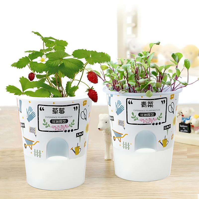 Mini Vasos De Plantas Verdes Para Crianças, Observação Do Crescimento De Sementes Em Latas, Kit De Jardinagem Para Jardim De Infância, Caixa Surpresa.  |   Sementes De Plantas Sementes De Plantas Sementes De Plantas