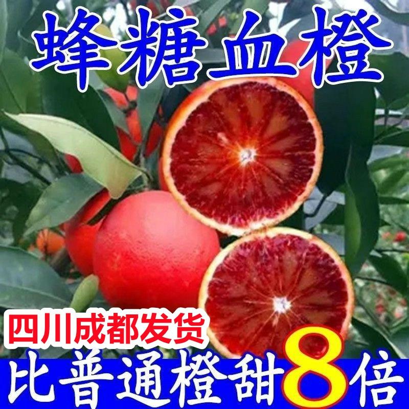 Muda De Laranja Sanguínea Tarocco, Muda De Laranja Navel Vermelha Cara, Muda De Laranja Doce Chinesa Com Frutos.  |   Muda Muda Muda