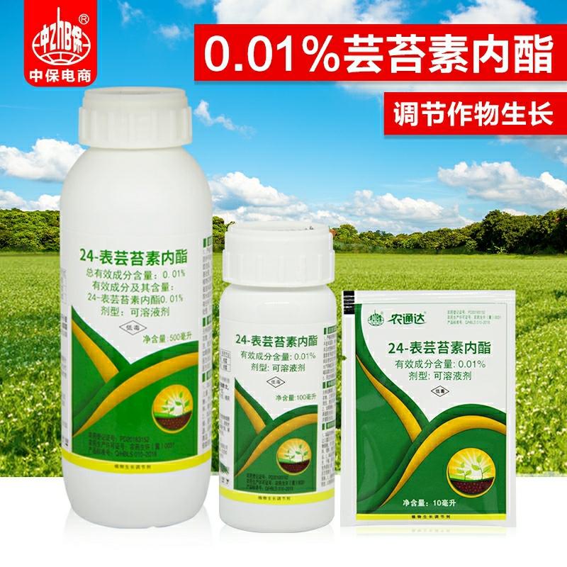 Regulador De Crescimento De Plantas Zhongaobao 24, Com Efeito De Promoção Do Crescimento E Enraizamento Para Arroz, Cítricos, Trigo E Pepino.  |   Regulador De Crescimento De Plantas Regulador De Crescimento De Plantas Regulador De Crescimento De Plantas