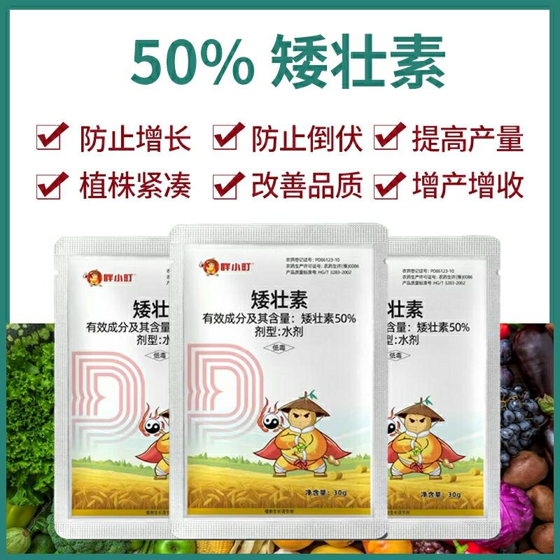 Regulador De Crescimento Para Trigo, Vegetais E Milho, Previne A Queda E O Crescimento Excessivo Das Plantas.  |   Regulador De Crescimento De Plantas Regulador De Crescimento De Plantas Regulador De Crescimento De Plantas