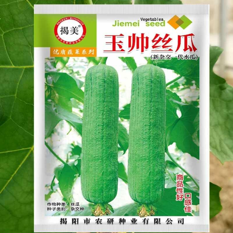 Revele As Sementes De Abóbora De Carne Suculenta De Jia Meiyu – Sementes Híbridas De Abóbora De Carne Grande, De Maturação Precoce, Para Primavera E Outono, Sementes De Frutas E Vegetais.  |   Sementes De Frutas Sementes De Frutas Sementes De Frutas