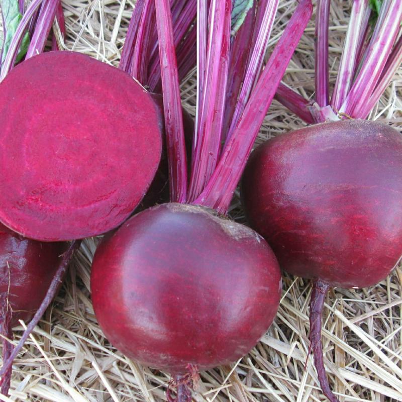 Sementes De Beterraba Doce Holandesa, Sementes De Nabo Roxo, Sementes De Quatro Estações, Sementes De Rabanete Para Primavera, Outono E Inverno.  |   Sementes De Vegetais Sementes De Vegetais Sementes De Vegetais