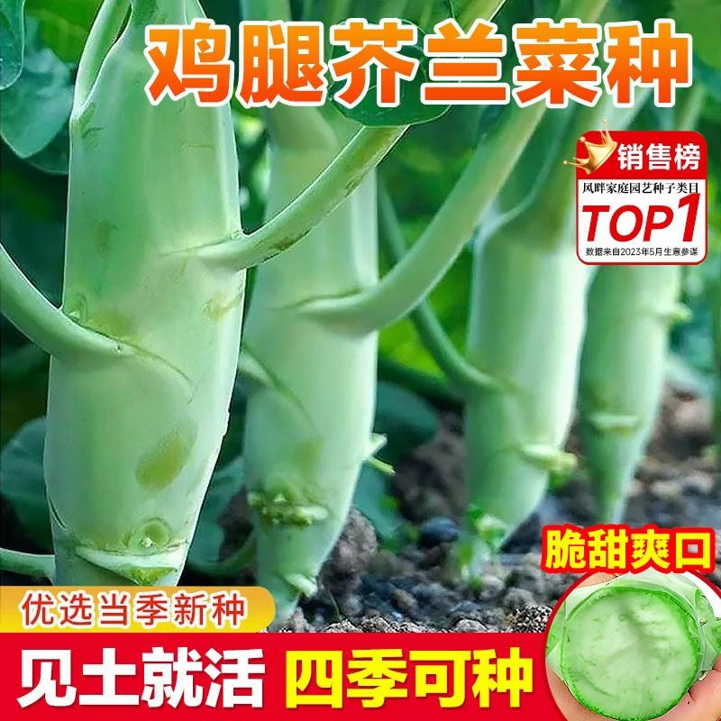 Sementes De Brócolis Chineses Para Cultivo Em Vasos Na Varanda, Sementes De Brócolis De Perna De Frango De Guangdong, Sementes De Vegetais De Quatro Estações, Variedade Completa De Mudas De Vegetais.  |   Sementes De Plantas Sementes De Plantas Sementes De Plantas