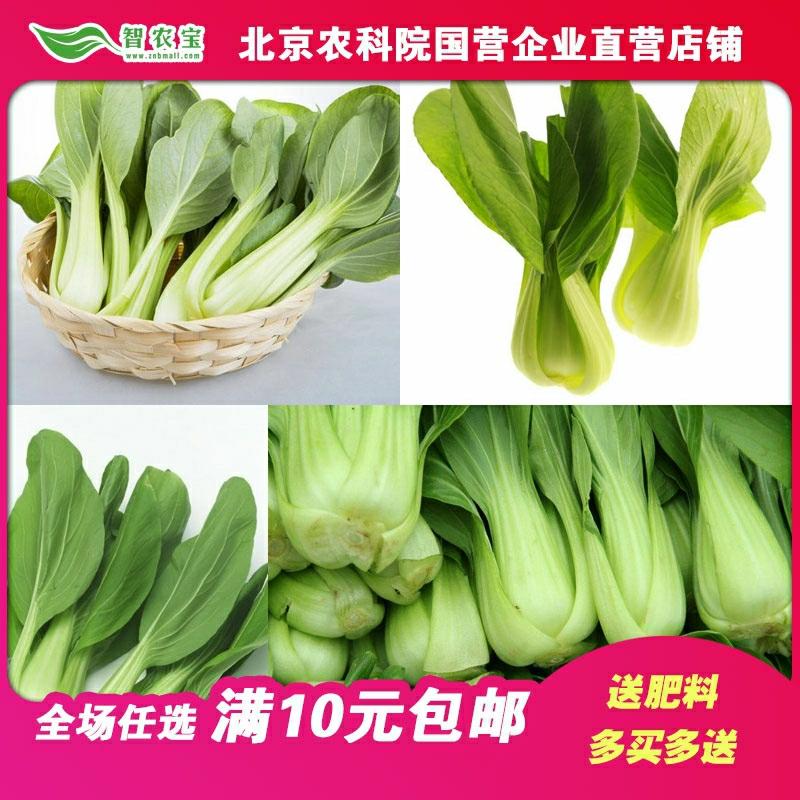 Sementes De Brócolis Pequenos, Sementes De Vegetais Verdes, Sementes De Shanghai Qing, Vegetais Para Cultivo Em Vasos Na Varanda Durante Todas As Estações, Sementes De Hortaliças De Outono Caseiras.  |   Sementes De Vegetais Sementes De Vegetais Sementes De Vegetais