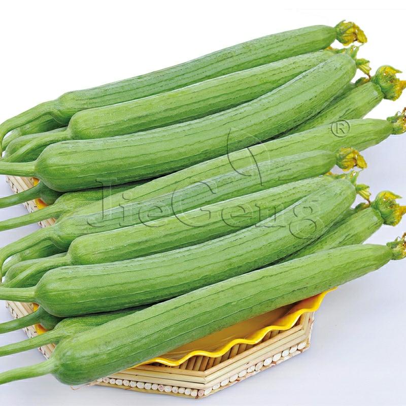 Sementes De Luffa – Planta Trepadeira Para Cultivo Em Varandas – Hortaliças E Frutas De Verão – Sementes De Vegetais E Frutas Para O Seu Jardim.  |   Sementes De Frutas Sementes De Frutas Sementes De Frutas