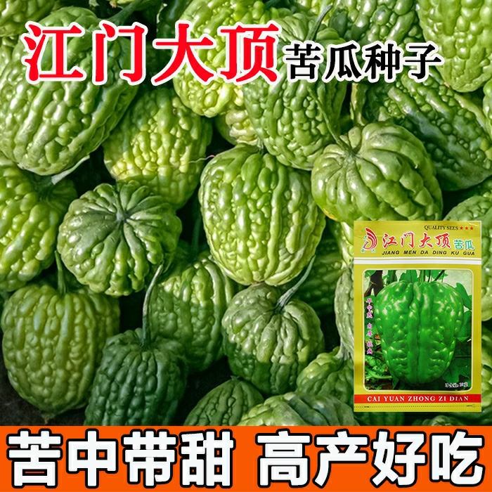 Sementes De Melão Amargo De Jiangmen, Guangdong – Sementes De Alta Produção Para Cultivo Ao Ar Livre Na Primavera E No Outono, Com Polpa Espessa.  |   Sementes De Frutas Sementes De Frutas Sementes De Frutas