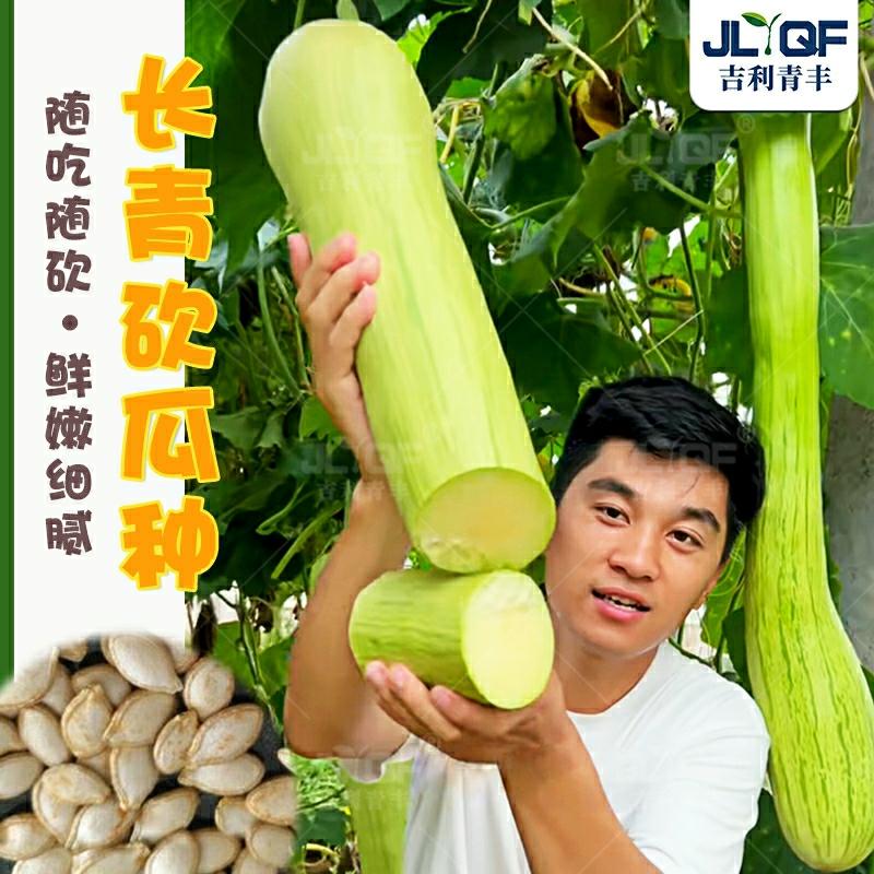 Sementes De Melão Gigante De Longqing – Alta Produção Em Todas As Estações, Sementes De Vegetais E Frutas Gigantes De Fazenda.  |   Sementes De Frutas Sementes De Frutas Sementes De Frutas