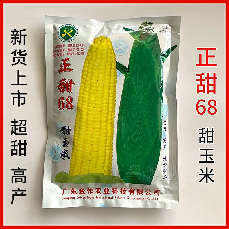 Sementes De Milho Doce Super Doce Guangdong Nongke 68 – Variedades De Milho De Alto Rendimento.  |   Sementes De Vegetais Sementes De Vegetais Sementes De Vegetais