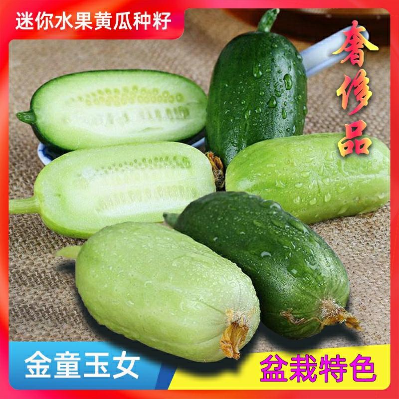 Sementes De Pepino Miniatura, Tipo “Menino De Ouro E Menina De Jade”, Para Cultivo Em Vaso, Vegetais E Frutas Especiais Para Todas As Estações.  |   Sementes De Frutas Sementes De Frutas Sementes De Frutas