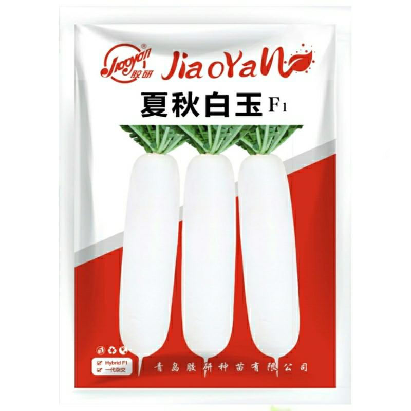 Sementes De Rabanete Branco De Jade Para O Verão E Outono – Guia Completo De Sementes De Rabanete Branco Para Todas As Estações – Sementes De Vegetais De Outono – Sementes De Frutas E Vegetais Doces E Crocantes.  |   Sementes De Vegetais Sementes De Vegetais Sementes De Vegetais