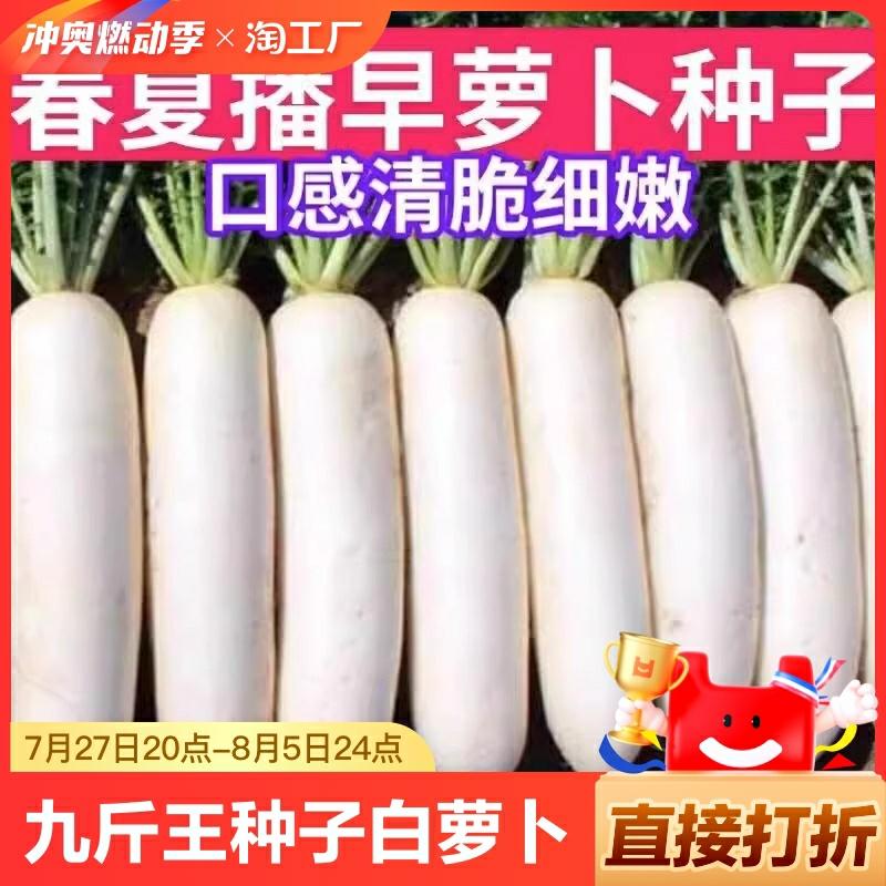 Sementes De Rabanete Branco Wang Zhongzi – Sementes De Vegetais, Não São Sazonais, Super Grandes, Para Plantio Em Todas As Estações, Colheita No Outono, Extremamente Doces E De Alta Produtividade Com Coração Amarelo.  |   Sementes De Vegetais Sementes De Vegetais Sementes De Vegetais