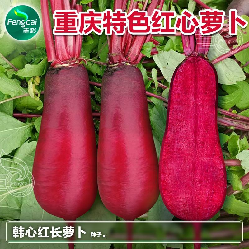 Sementes De Rabanete Vermelho De Pele Vermelha E Polpa Vermelha De Chongqing, Sementes De Rabanete Cor-De-Rosa De Picles De Sichuan, Sementes De Vegetais De Outono.  |   Sementes De Vegetais Sementes De Vegetais Sementes De Vegetais