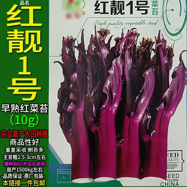 Sementes De Rúcula Vermelha 10G – Híbrido De Alta Produção Com Coração Grosso E Recolha Repetida De Vegetais.  |   Sementes De Vegetais Sementes De Vegetais Sementes De Vegetais