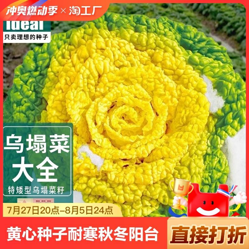 Sementes De Repolho Amarelo Resistente Ao Frio, Sementes De Couve De Folhas Largas, Sementes De Bok Choy Para Cultivo Em Varandas E Jardins, Vegetais De Flores.  |   Sementes De Vegetais Sementes De Vegetais Sementes De Vegetais