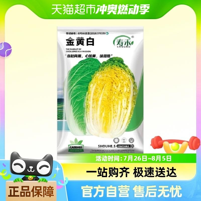 Sementes De Repolho Branco Shouhe Jinhuang (Hualiang) 5G – Sementes De Vegetais De Coração Amarelo, Resistentes Ao Calor Para O Verão, Adequadas Para Todas As Estações.  |   Sementes De Vegetais Sementes De Vegetais Sementes De Vegetais