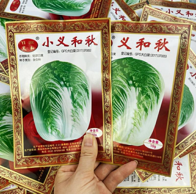 Sementes De Repolho De Outono Xiao Yi E Qiu, Sementes De Vegetais Para Armazenamento De Inverno No Norte, Sementes De Pequeno Vegetal De Jiaozhou, Cultivo De Outono E Inverno.  |   Sementes De Vegetais Sementes De Vegetais Sementes De Vegetais