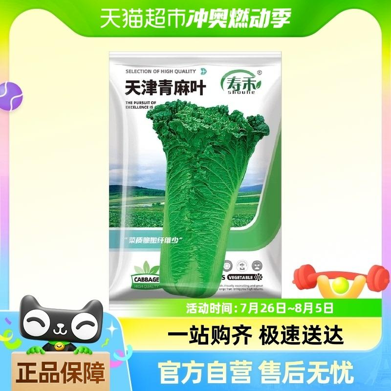 Sementes De Repolho Tianjin Qingma 1G – Sementes De Vegetais Para A Primavera  |   Sementes De Vegetais Sementes De Vegetais Sementes De Vegetais