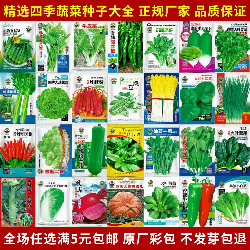 Sementes De Vegetais De Quatro Estações Resistentes Ao Calor Para Cultivo Em Casa: Rabanete, Acelga De Suzhou, Sementes De Coentro, Cebolinha E Alho-Poró Para Jardinagem.  |   Sementes De Vegetais Sementes De Vegetais Sementes De Vegetais