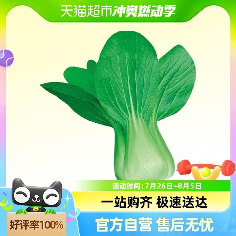 Sementes De Vegetais De Shanghai Zhou He – Sementes De Repolho Verde Autêntico 1G, Sementes De Vegetais De Quatro Estações, Repolho Roxo E Acelga Verde.  |   Sementes De Vegetais Sementes De Vegetais Sementes De Vegetais