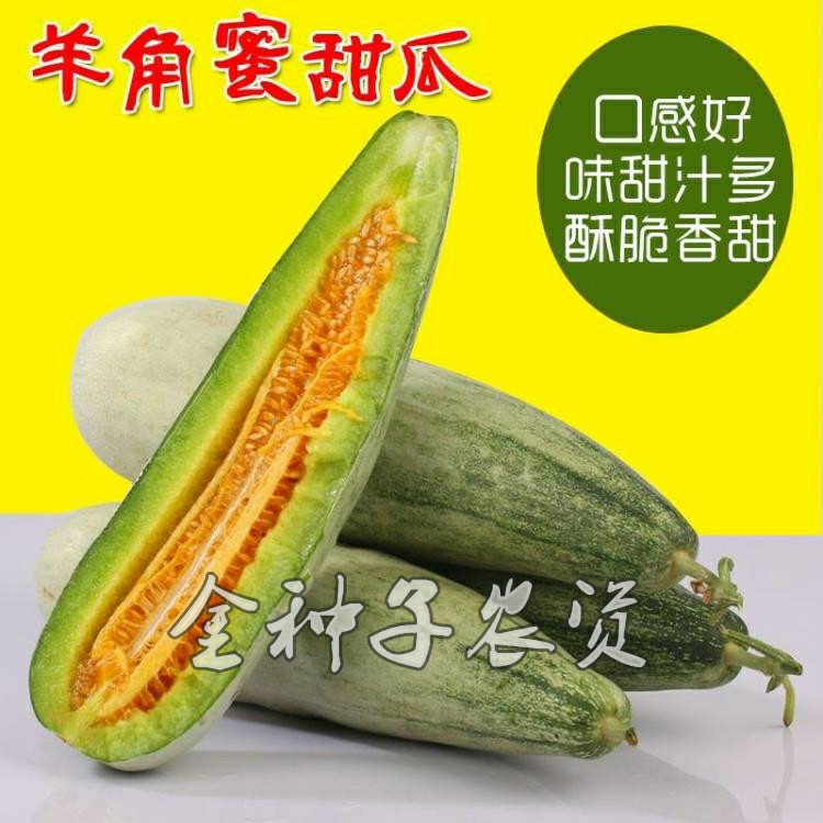 Sementes De Vegetais E Frutas De Alta Pureza Da Variedade De Melão “Yangjiao” Da China – Melão Doce “Yangjiao” E Melão Crocante “Yangjiao”.  |   Sementes De Frutas Sementes De Frutas Sementes De Frutas