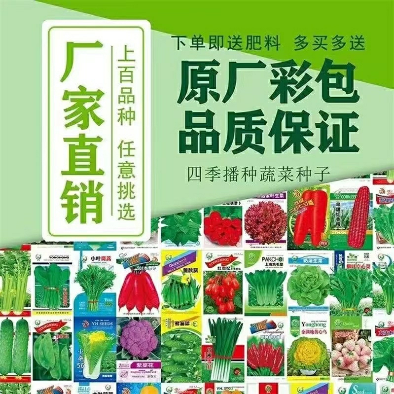 Sementes De Vegetais: Guia Completo Para Hortas Caseiras – Couve Chinesa, Couve De Shanghai, Mostarda Chinesa, E Cultivo Em Vasos Na Varanda Ou Ao Ar Livre.  |   Sementes De Vegetais Sementes De Vegetais Sementes De Vegetais