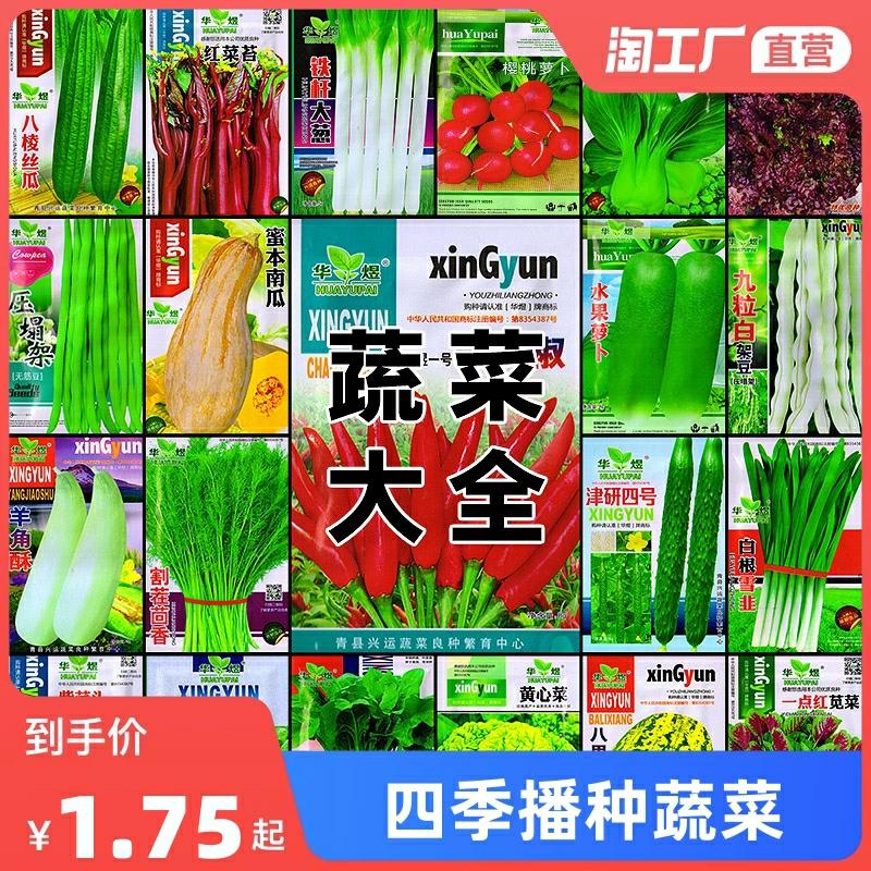 Sementes De Vegetais Para Cultivo Em Vasos Durante Todas As Estações: Tomate, Pepino, Pimenta, Sementes De Melancia, Rabanete, Tomate E Coração Amarelo De Suzhou.  |   Sementes De Vegetais Sementes De Vegetais Sementes De Vegetais