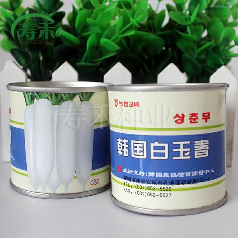 Sementes De Rabanete Branco Coreano Baijuchun – Sementes De Vegetais Para Cultivo Em Vasos Na Varanda Durante Todas As Estações, Ideal Para O Outono.  |   Sementes De Vegetais Sementes De Vegetais Sementes De Vegetais