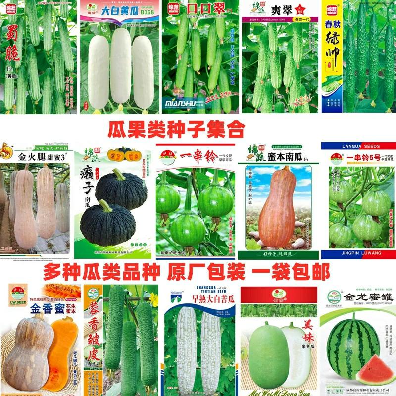 Sementes De Frutas E Legumes: Pepino, Abóbora, Melão Doce, Abóbora Japonesa, Melancia, Abóbora De Inverno, Melão Amargo, Abóbora, Sementes De Vegetais De Primavera.  |   Sementes De Frutas Sementes De Frutas Sementes De Frutas